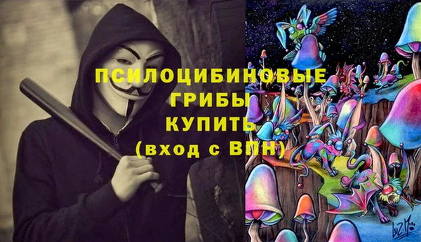 2c-b Нязепетровск