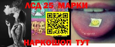ПСИЛОЦИБИНОВЫЕ ГРИБЫ Заводоуковск