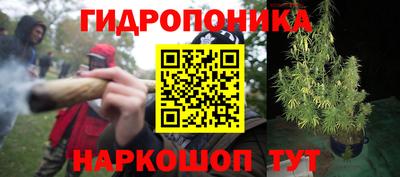 Альфа ПВП Жуковский