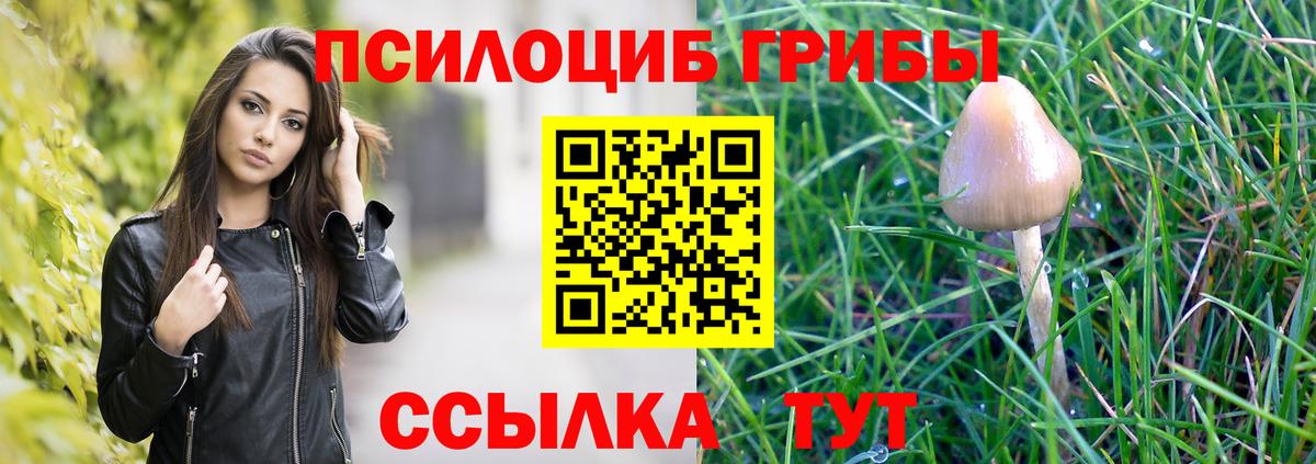 Псилоцибиновые грибы MAGIC MUSHROOMS  Галлюциногенные грибы Magic Shrooms  Партизанск  Вход с VPN 
